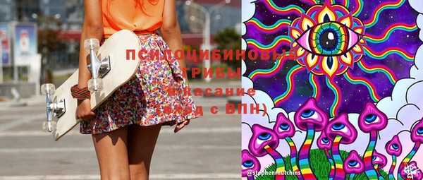 дживик Арсеньев