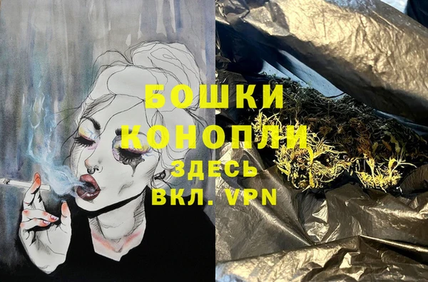 дживик Арсеньев