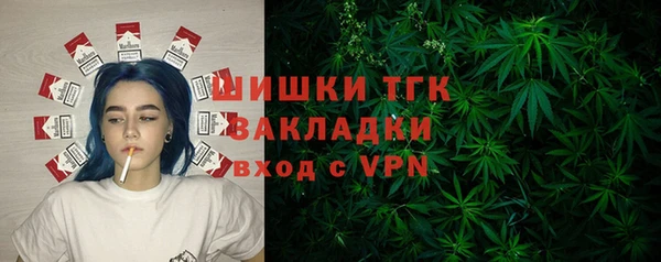 дживик Арсеньев