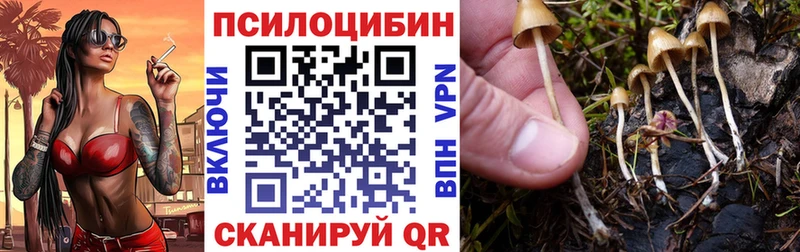 Псилоцибиновые грибы мицелий  Майский 
